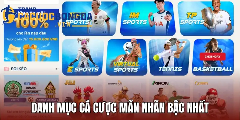 Danh mục cá cược mãn nhãn bậc nhất tại thương hiệu Sky88