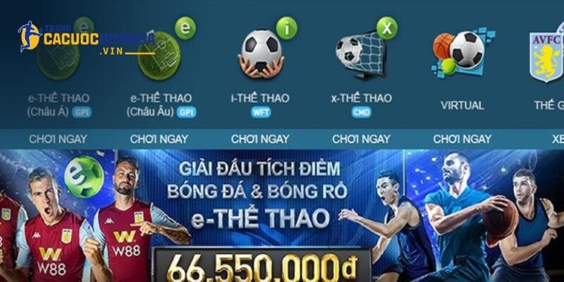 Tìm hiểu top 6 thương hiệu nổi trội trên thị trường